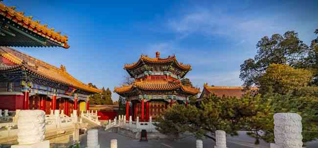 沈阳一景区走红其中的古松群更是别具一格位于市区内