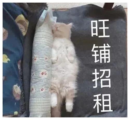 笑话:过年回娘家,快走到门口了,听到有人拿着喇叭大喊:来了?休闲区蓝鸢梦想 - Www.slyday.coM 笑话:过年回娘家,快走到门口了,听到有人拿着喇叭大喊:来了?休闲区蓝鸢梦想 - Www.slyday.coM