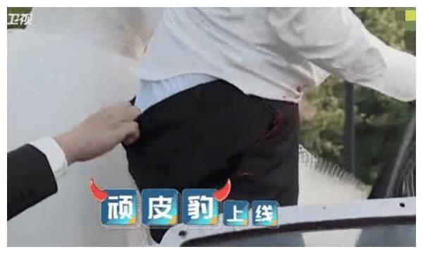 《跑男》郑恺扯掉郭麒麟裤子,翻箱倒柜赔条新的,橘色裤衩太抢镜