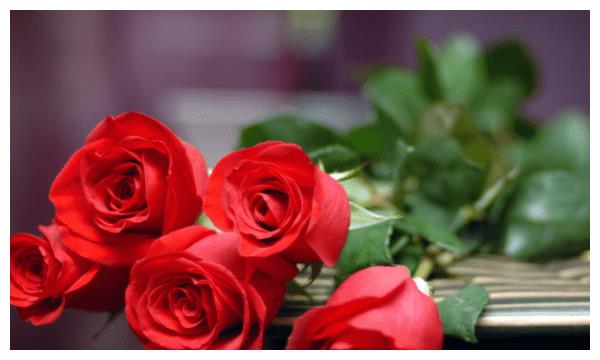 9月1日起 运势旺盛 有福 万事大吉三大生肖