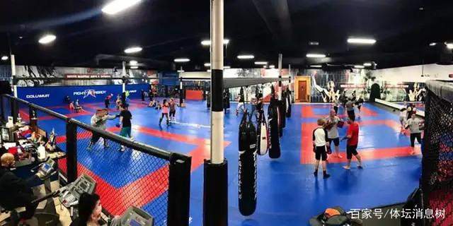 张伟丽身后站着三大高手，塞胡多+斗牛犬+<a href=