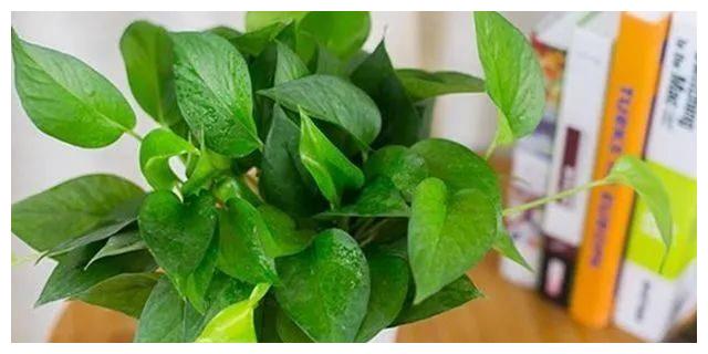 善韵缘休闲区蓝鸢梦想 - Www.slyday.coM 善韵缘休闲区蓝鸢梦想 - Www.slyday.coM