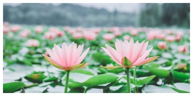 对于生活来说,射手座却是一个非常乐观开朗的人休闲区蓝鸢梦想 - Www.slyday.coM 对于生活来说,射手座却是一个非常乐观开朗的人休闲区蓝鸢梦想 - Www.slyday.coM