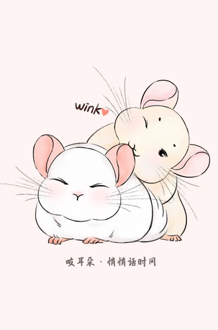 可爱的龙猫插画作品|小小的眼睛,胖嘟嘟的身材