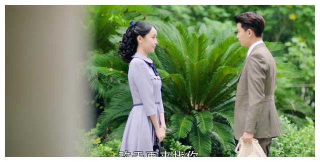 《秋蝉》纯子挑拨离间,宫本举报被停职,何樱被抓,叶冲被激怒
