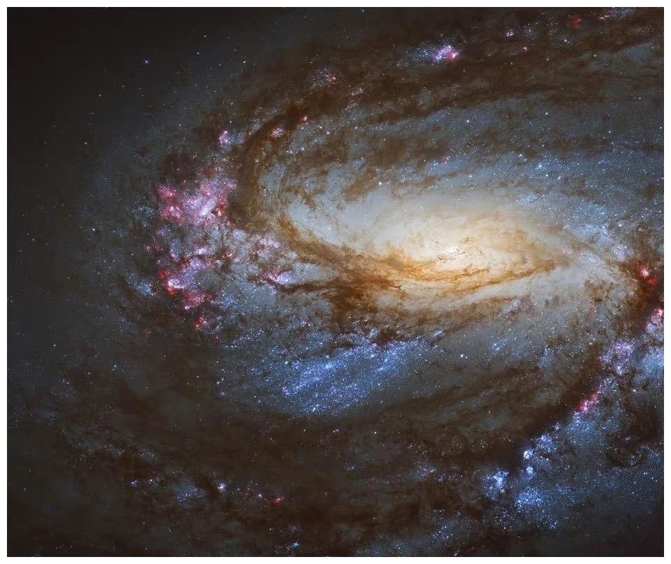 m67 ngc2682 太阳可能的摇篮巨蟹座 疏散星团6.84 2.