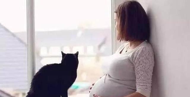 男方说好的10万彩礼和一套房临时变成5万加贷款房,女方:不结了休闲区蓝鸢梦想 - Www.slyday.coM 男方说好的10万彩礼和一套房临时变成5万加贷款房,女方:不结了休闲区蓝鸢梦想 - Www.slyday.coM