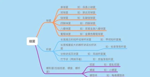 病原微生物,是指可以侵犯人體,引起感染甚至傳染病的微生物,或稱病原