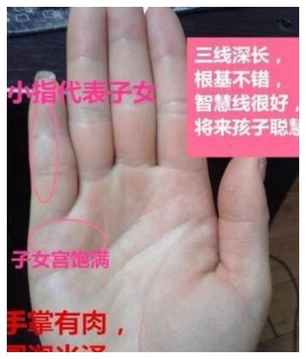 晚年期间会有福禄衣食无忧儿女孝顺的几种手相