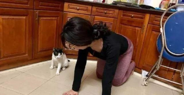 女子学自家猫咪练习瑜伽动作,正在舔毛的猫咪一脸懵圈休闲区蓝鸢梦想 - Www.slyday.coM 女子学自家猫咪练习瑜伽动作,正在舔毛的猫咪一脸懵圈休闲区蓝鸢梦想 - Www.slyday.coM