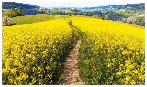 11月底，情深似海，月老眷顾，旧爱归来，交换真心，余生相濡以沫休闲区蓝鸢梦想 - Www.slyday.coM