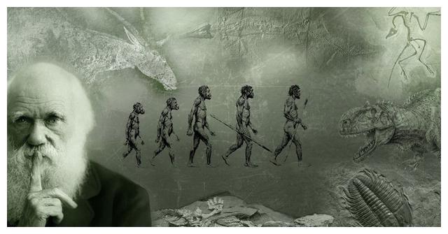 若"动物园理论"成立,高级文明"圈养"人类有何目的?