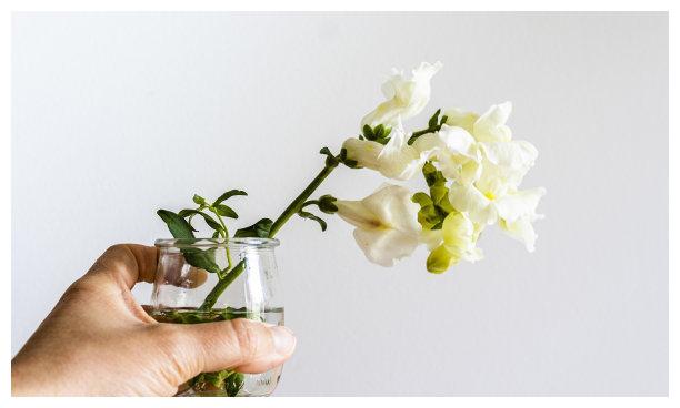 11月底，情深似海，月老眷顾，旧爱归来，交换真心，余生相濡以沫休闲区蓝鸢梦想 - Www.slyday.coM