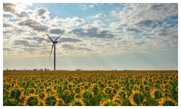 11月底，情深似海，月老眷顾，旧爱归来，交换真心，余生相濡以沫休闲区蓝鸢梦想 - Www.slyday.coM