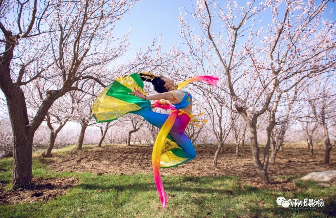 花开似海,没有了"节",酒泉肃州区金佛寺的杏花依旧烂漫