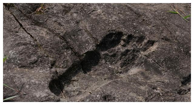 科学家发现巨人脚印,轮廓清晰可见!