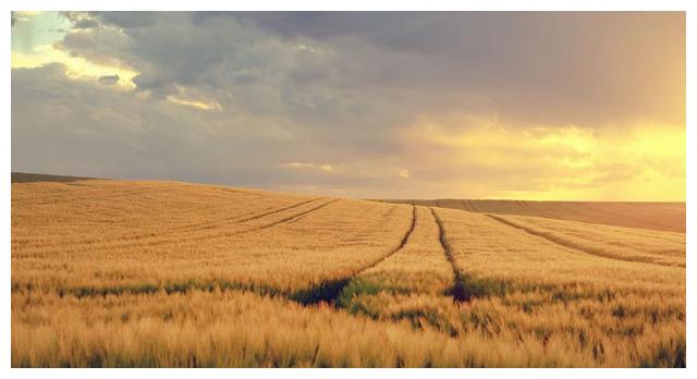 一个人是否有事业心，不能从表面来看，而是根据做事能力来判断的休闲区蓝鸢梦想 - Www.slyday.coM