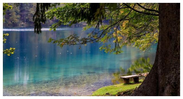 一个人是否有事业心，不能从表面来看，而是根据做事能力来判断的休闲区蓝鸢梦想 - Www.slyday.coM
