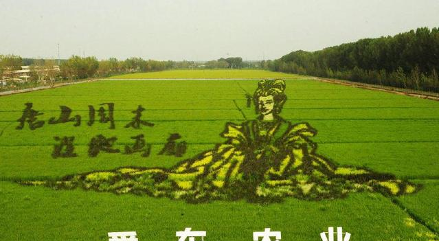 距北京200公里有座以唐朝嫔妃命名的城，<a href=