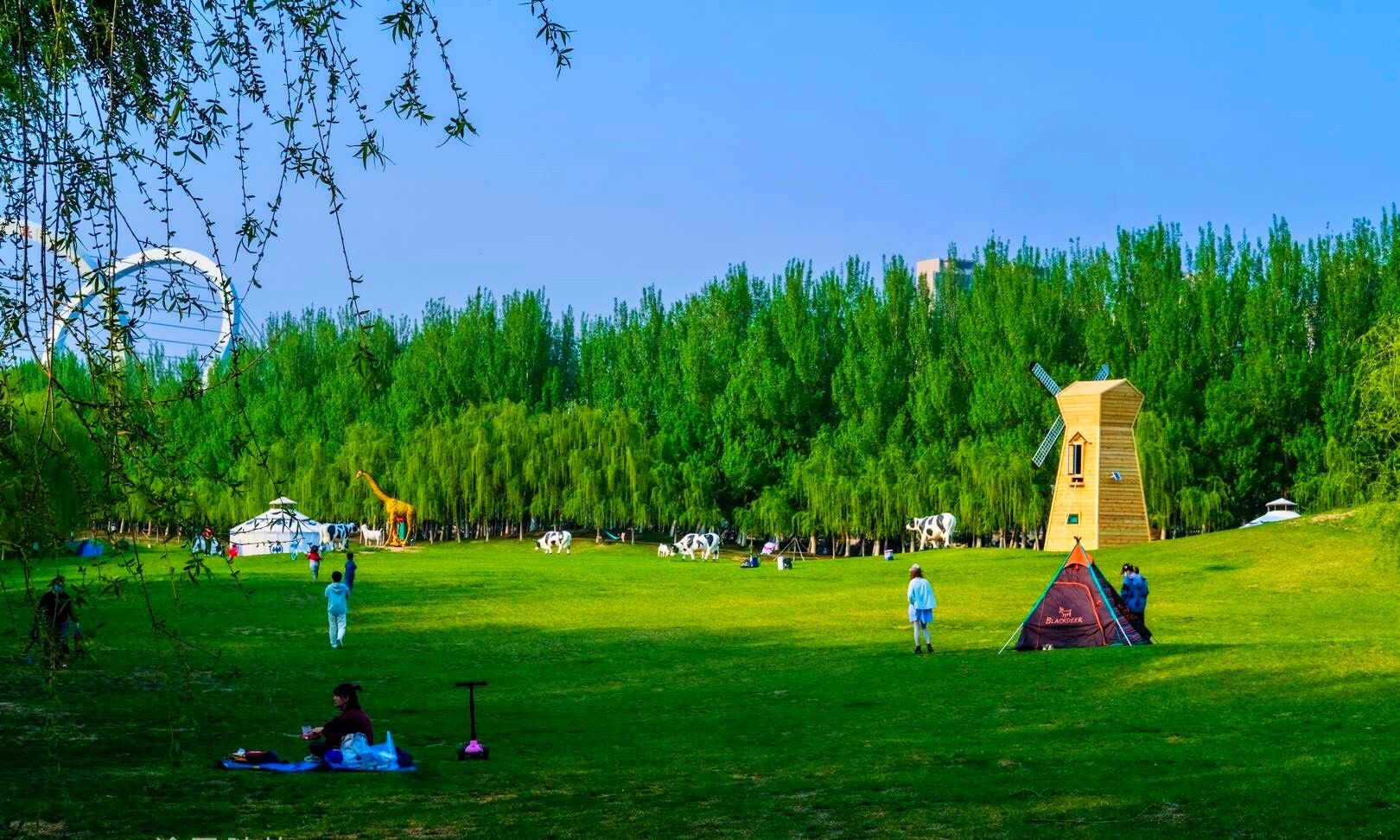 五月,沈阳五里河风光