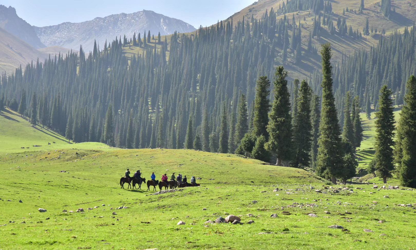 旅游 新疆伊犁 那仁大草原