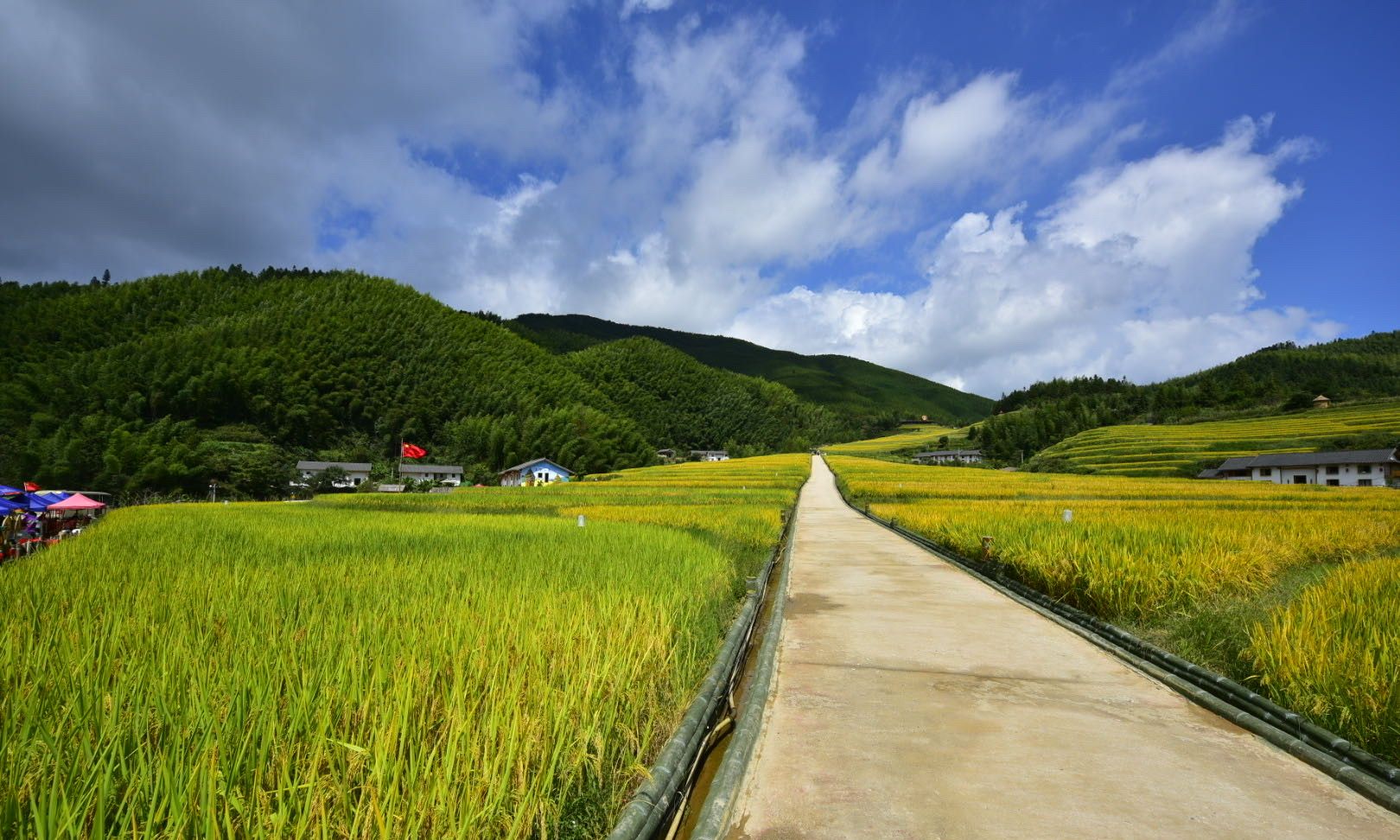 崇义上堡梯田美丽风光
