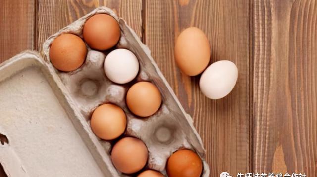 如何区分普通鸡蛋和土鸡蛋？内行人士透露：只需牢记这4点就ok