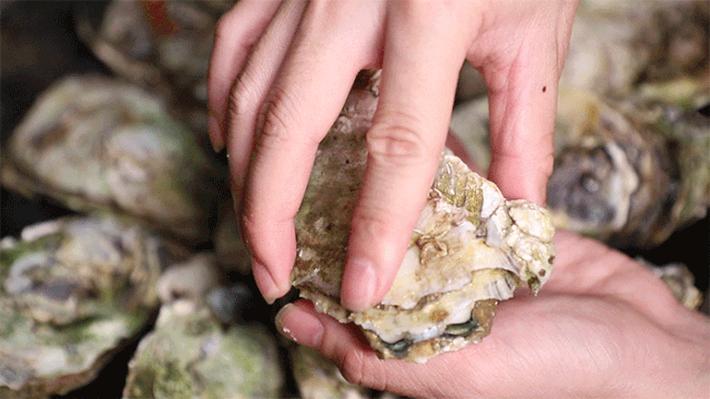 平洲有家农庄凭借大件夹抵食广州食客都慕名而来