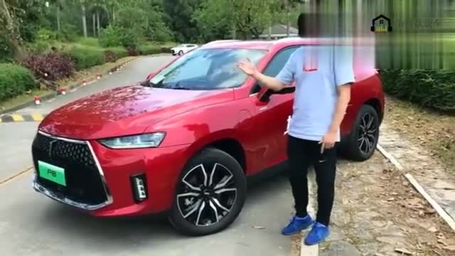 视频：长城汽车WEY P8外形篇