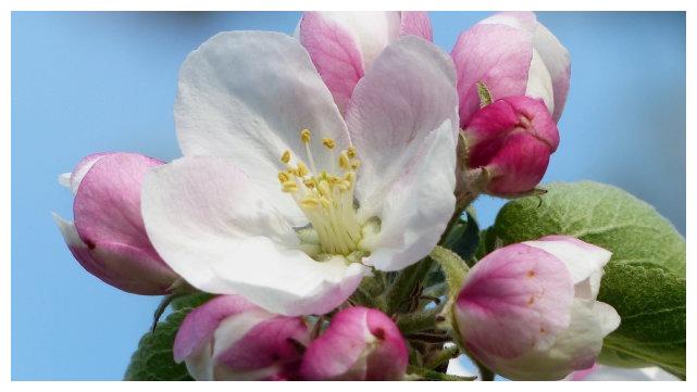 7月31日星座运势 贵人引路 意气风发的四大星座 财经头条
