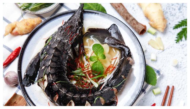 火爆的美食,清蒸鲟鱼,招待客人的美味,快来收藏吧.