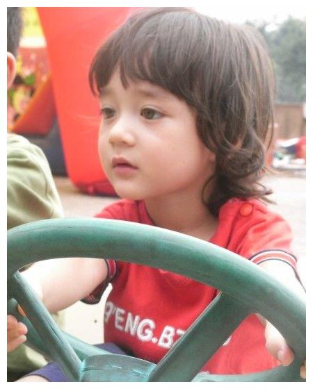 马修长的洋气,但他的中文名却特别的接地气,叫蔡志强.