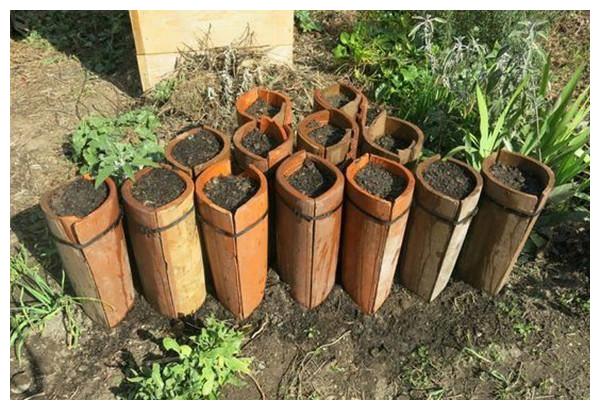 农村不要的旧瓦片老爸捡回家,2块瓦捆在一起种花,成本低又好用