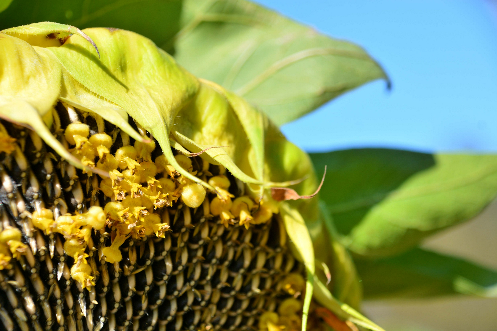 人不成熟五大特征 如何摆脱幼稚思维走向成功