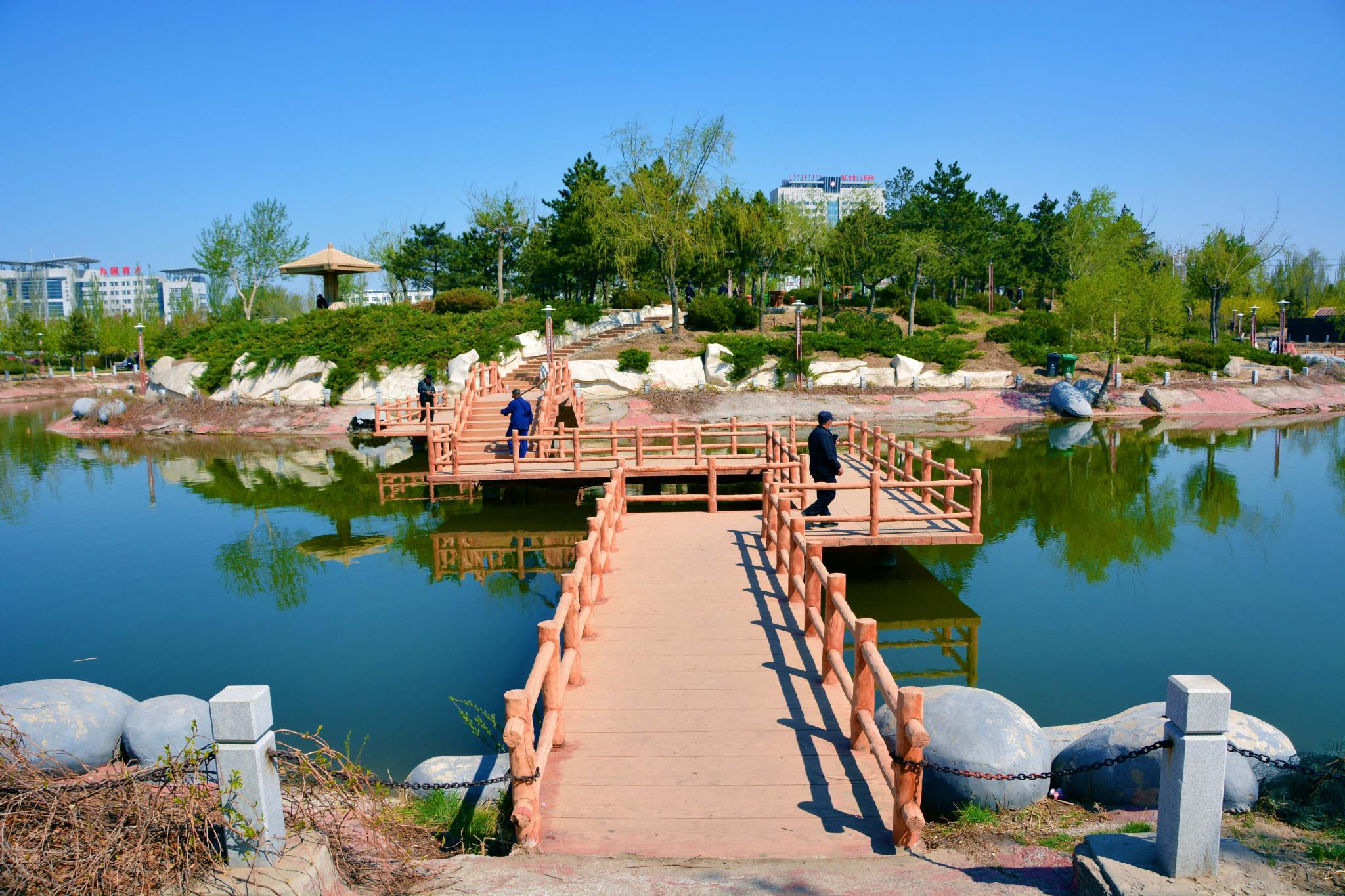 通辽市森林公园风光原创视频