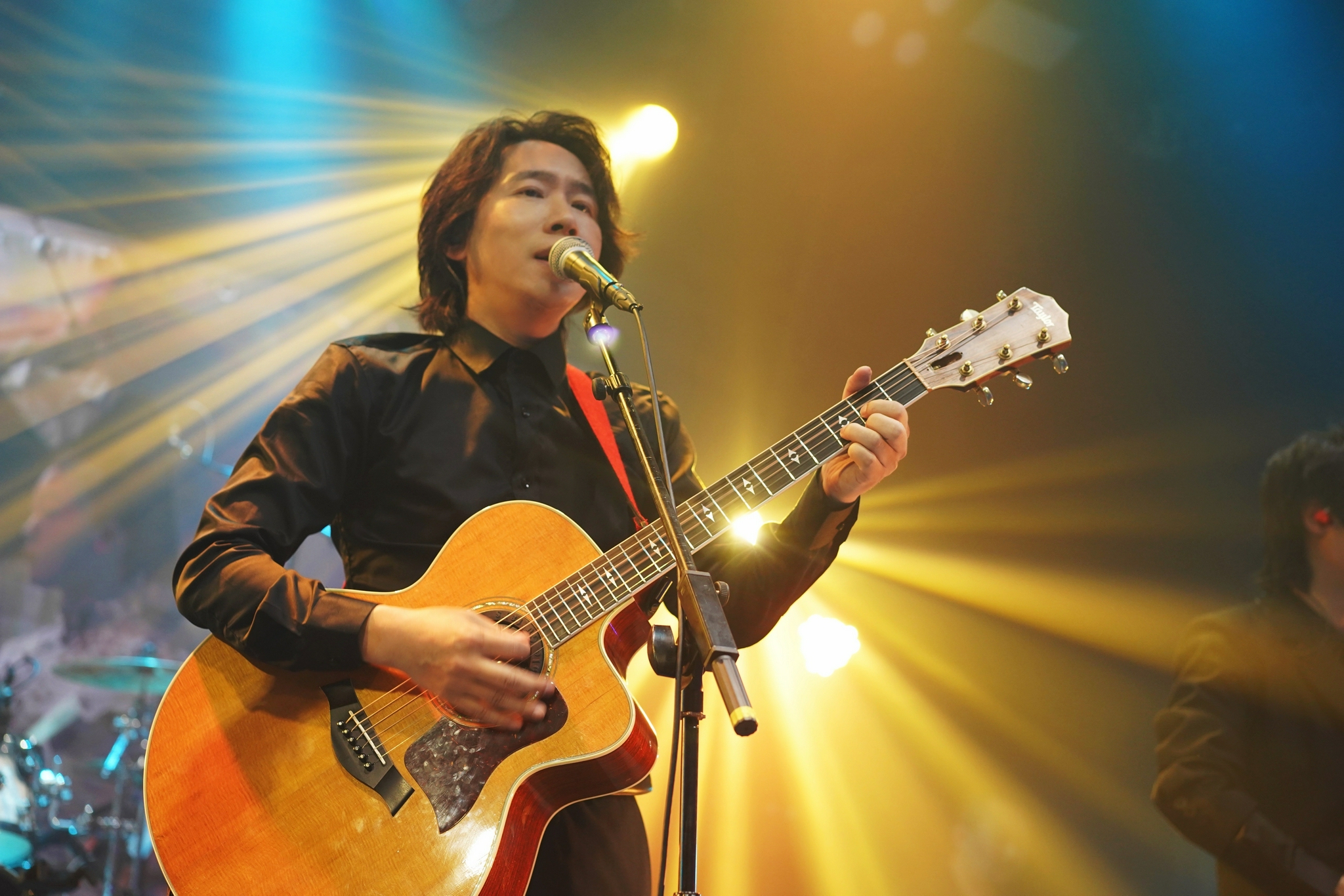 其中《感谢生活》和《坦白书》,是水木近期的作品,《感谢生活》延续了