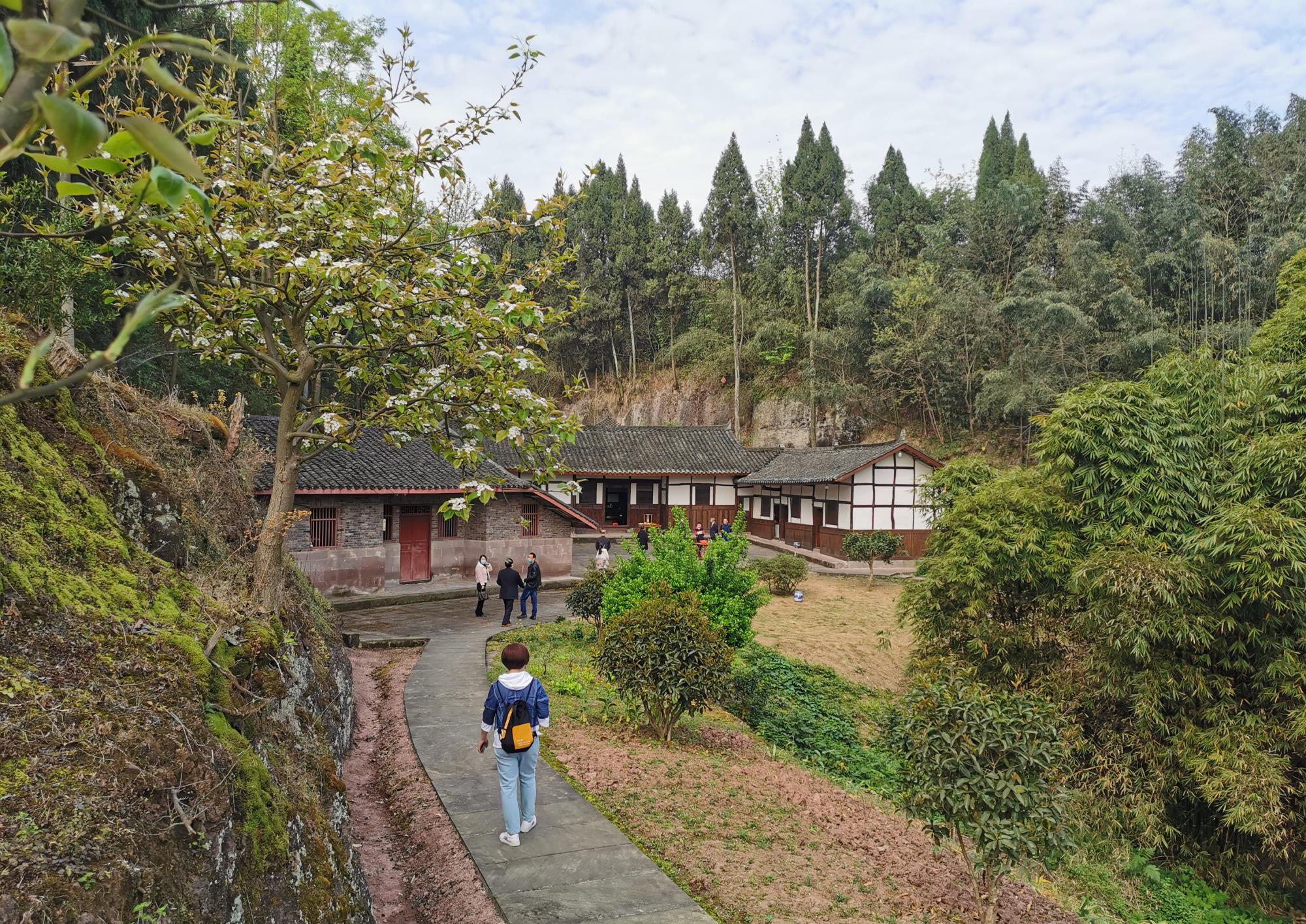 诗歌:杨家院子晒太阳的姿势很迷人