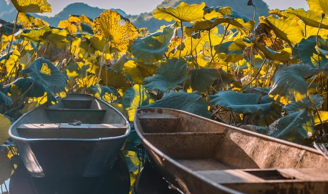 正宗过桥米线的仪式感有多强?一个套餐就用了55个碟子,不可思议休闲区蓝鸢梦想 - Www.slyday.coM 正宗过桥米线的仪式感有多强?一个套餐就用了55个碟子,不可思议休闲区蓝鸢梦想 - Www.slyday.coM