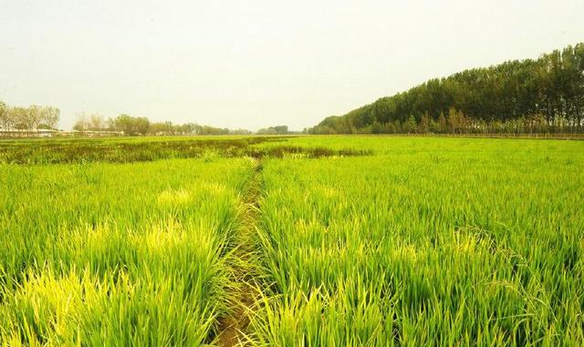 距北京200公里有座以唐朝嫔妃命名的城，<a href=