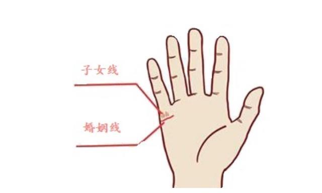 怎么看手相有几个孩子（手相怎么看有几个孩子图解）