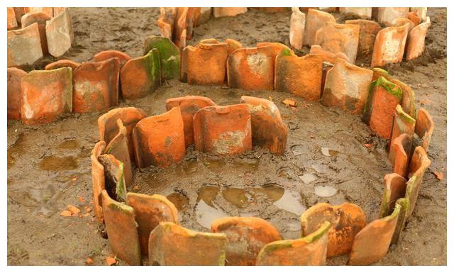 农村不要的旧瓦片老爸捡回家,2块瓦捆在一起种花,成本低又好用