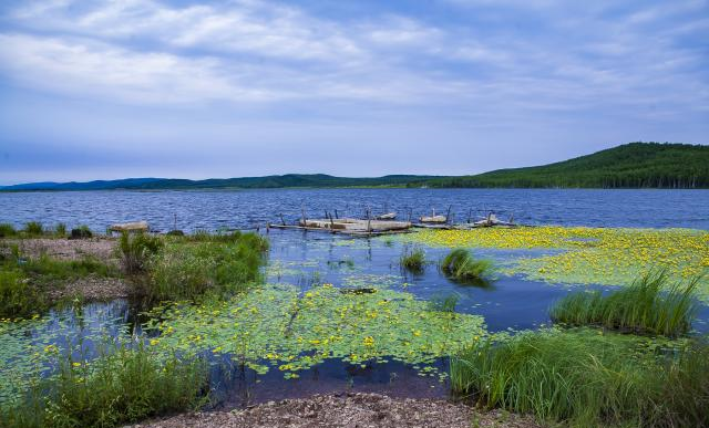 加格达奇seo排名