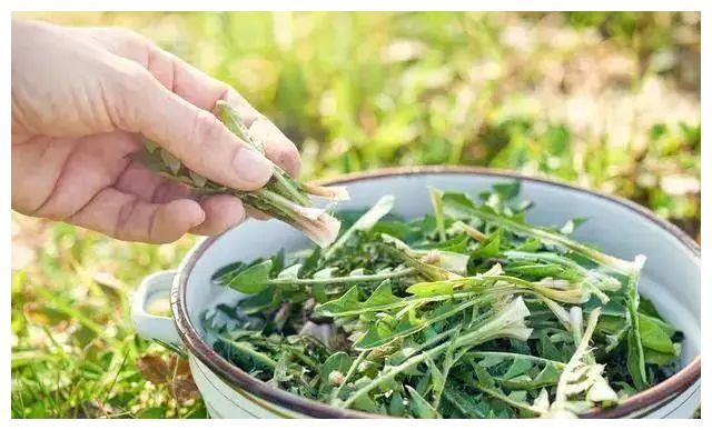 9岁女孩，查出糖尿病，得知原因后，母亲痛哭：都是我害了你休闲区蓝鸢梦想 - Www.slyday.coM