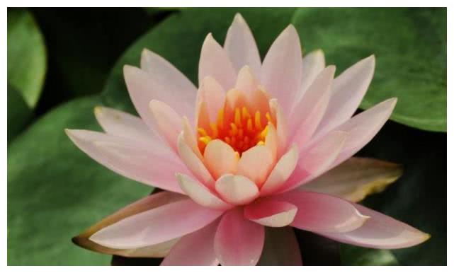 爷好帅 半次元 Acg爱好者社区