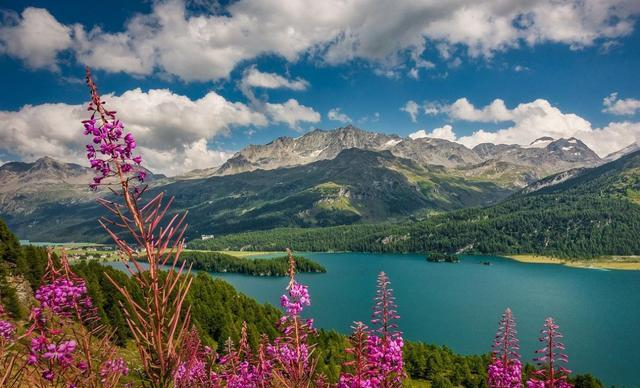 一个人是否有事业心，不能从表面来看，而是根据做事能力来判断的休闲区蓝鸢梦想 - Www.slyday.coM