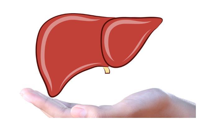 肝脏健康的人，早上起床后不会有这些变化，一个不占的真幸福休闲区蓝鸢梦想 - Www.slyday.coM