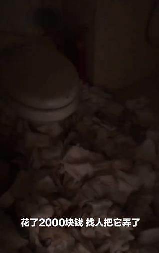 满墙蟑螂!女孩租房2年未扔垃圾睡在“坑”里,房东:人干干净净休闲区蓝鸢梦想 - Www.slyday.coM 满墙蟑螂!女孩租房2年未扔垃圾睡在“坑”里,房东:人干干净净休闲区蓝鸢梦想 - Www.slyday.coM