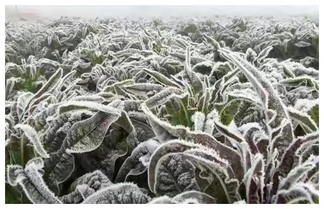 九月初一什么天气好?老祖宗的经验就是预兆!看看俗语怎么说?休闲区蓝鸢梦想 - Www.slyday.coM 九月初一什么天气好?老祖宗的经验就是预兆!看看俗语怎么说?休闲区蓝鸢梦想 - Www.slyday.coM