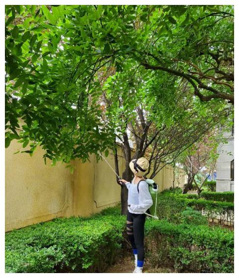 驱蚊水排行_张歆艺为孩子少挨蚊子咬,背桶满小区洒驱蚊水,她一直就非常好