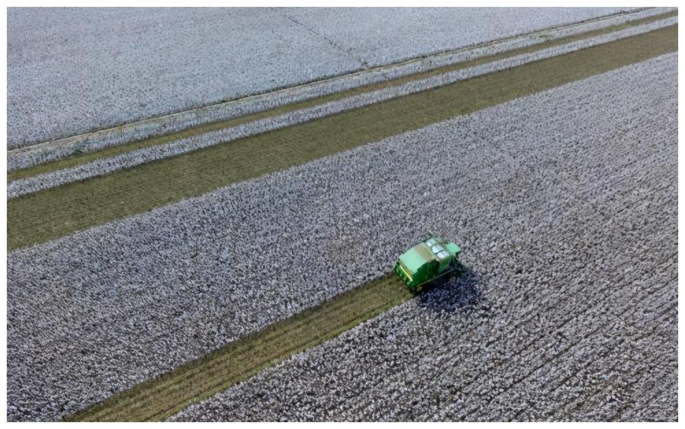 关于新疆棉花的一些常识 你知道吗?休闲区蓝鸢梦想 - Www.slyday.coM 关于新疆棉花的一些常识 你知道吗?休闲区蓝鸢梦想 - Www.slyday.coM